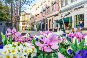 Explore The Mile-High City- 1610 Wynkoop Street, Suite 120.
Denver, CO 80202